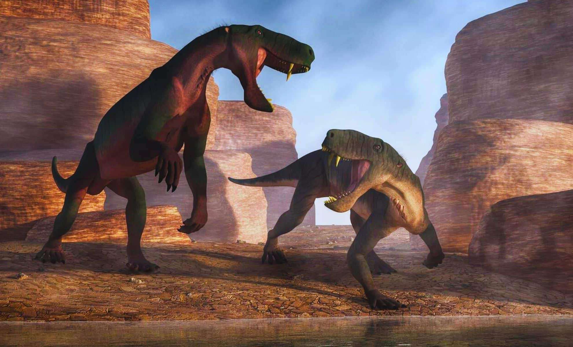 Ancient Saber-Toothed Predator Discovery Sheds Light on Mammal Ancestors 