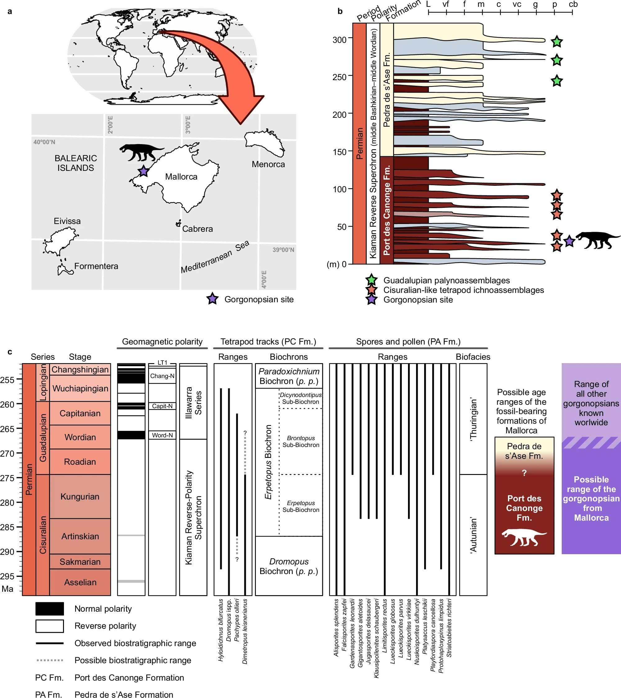 Geological-context-of-the-gorgonopsian-from-Mallorca-f0df0cf398a9c3facdb63df98637e945.jpg