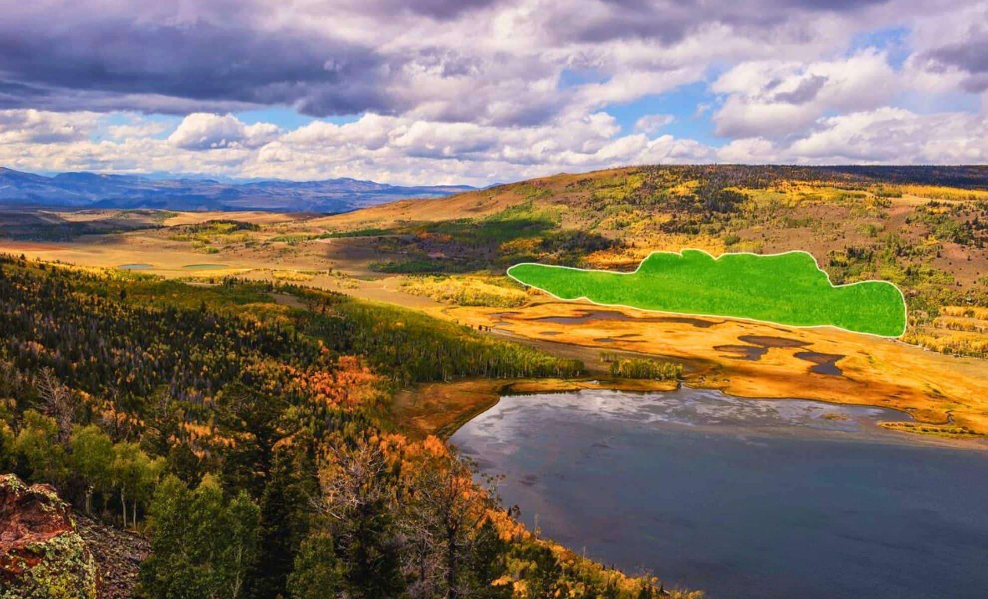 Pando: Earth’s Ancient Colossus Spanning Over a Century Millennia 