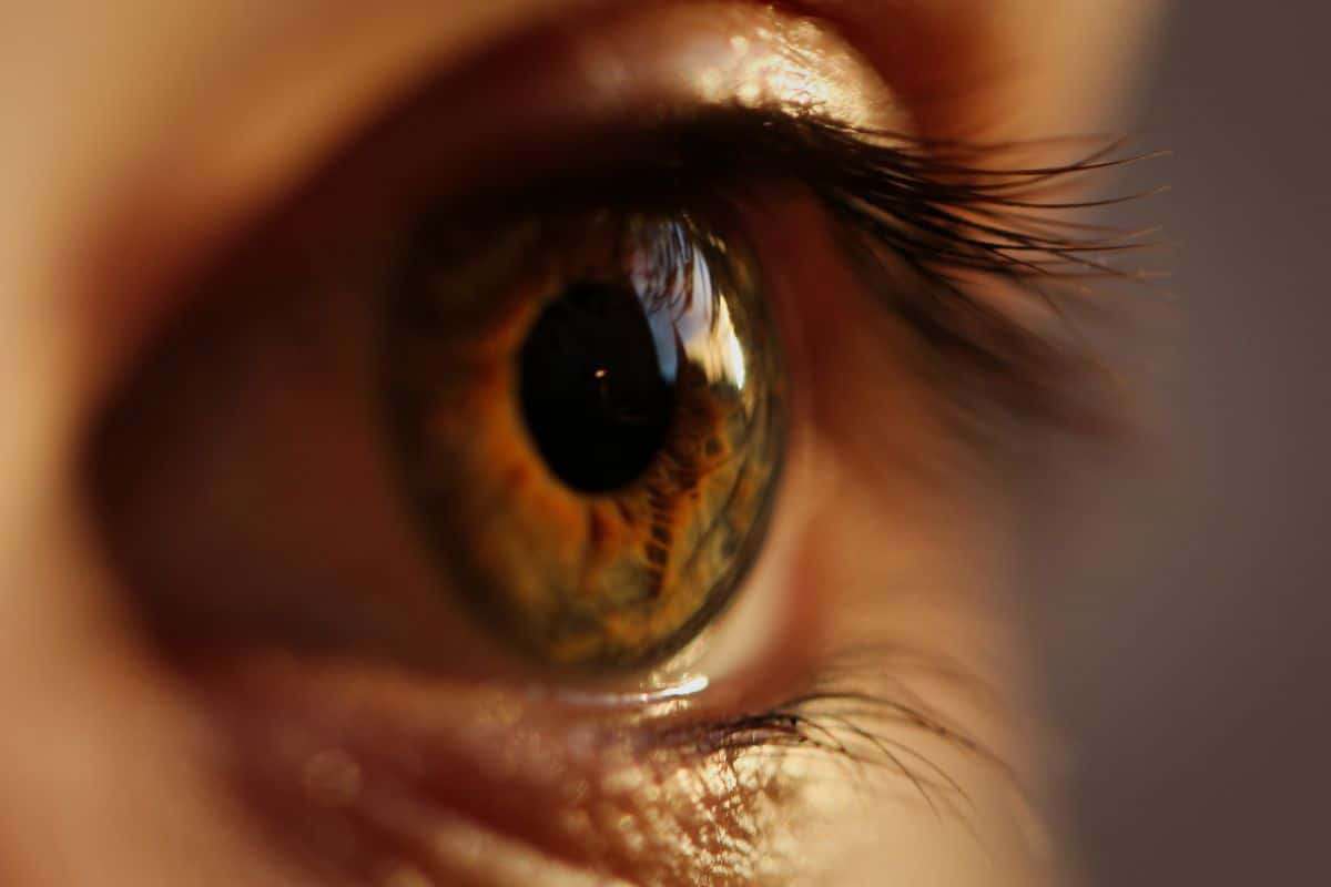 AI-Powered Eye Scans Offer Breakthrough in Stroke Risk Prediction 