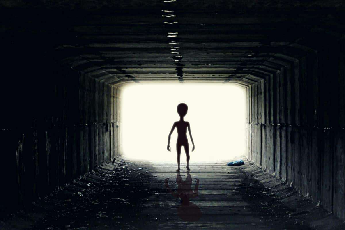 Debunking the Myth: What Scientists Really Say About Aliens 
