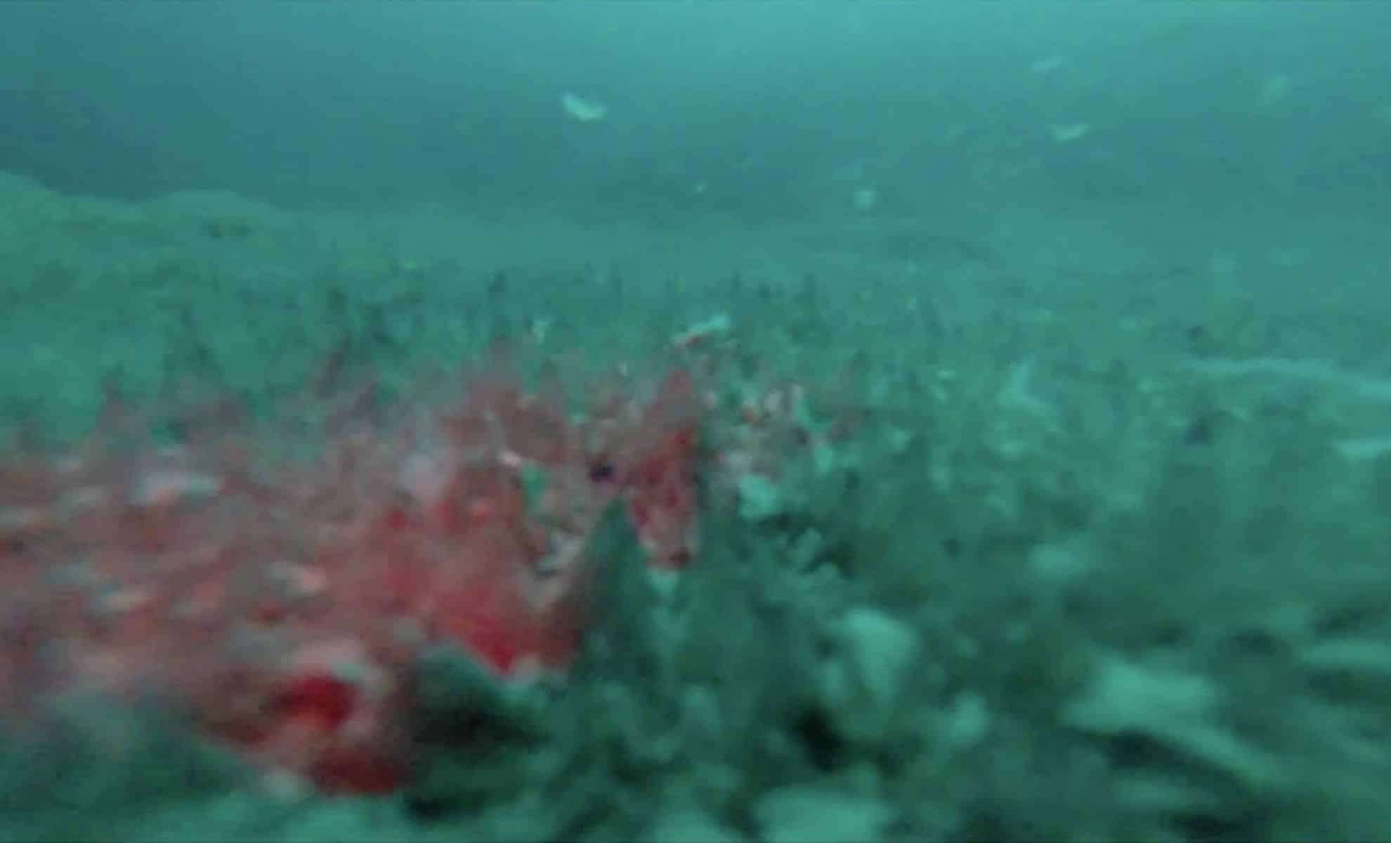 Microbial Life Thrives Beneath Antarctica’s Frozen Lake Enigma: A Hidden Biosphere Uncovered 