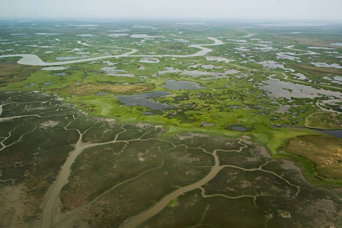 Arctic Regions Shift from Carbon Storage to Emission Hotspots 