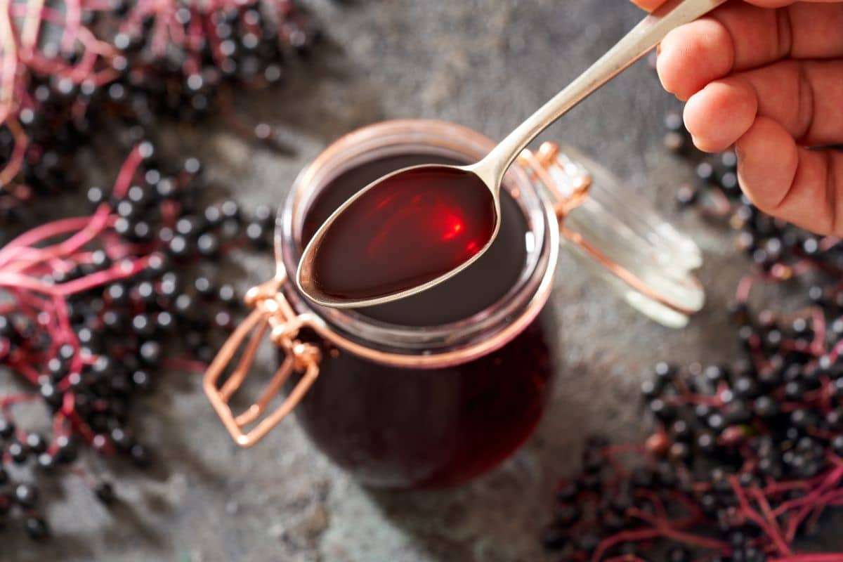 Elderberry Supplements: Separating Fact from Fiction in Cold and Flu Relief 