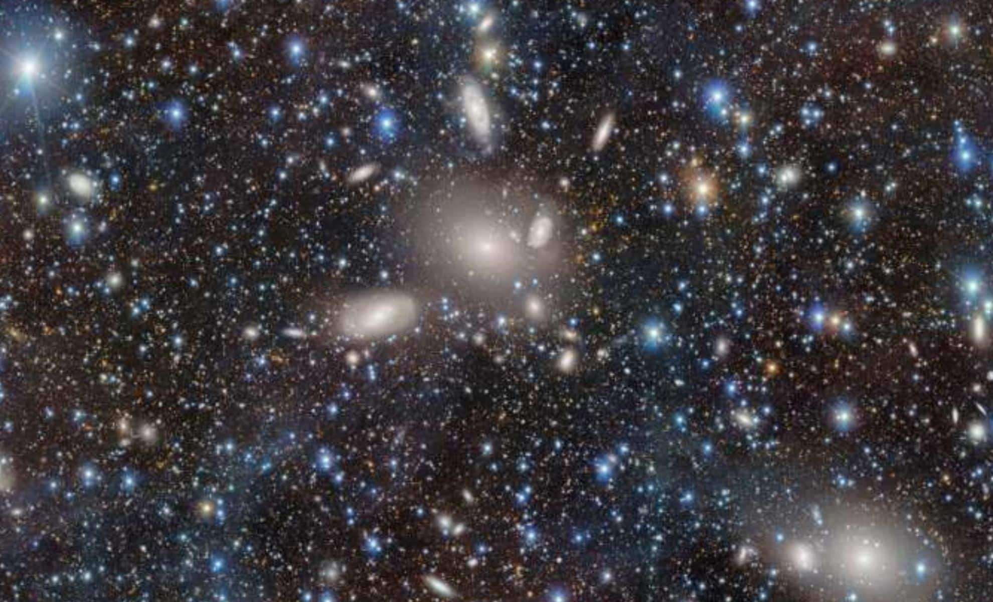 Revealing the Antlia Cluster's Hidden Galactic Treasures with the Dark Energy Camera 