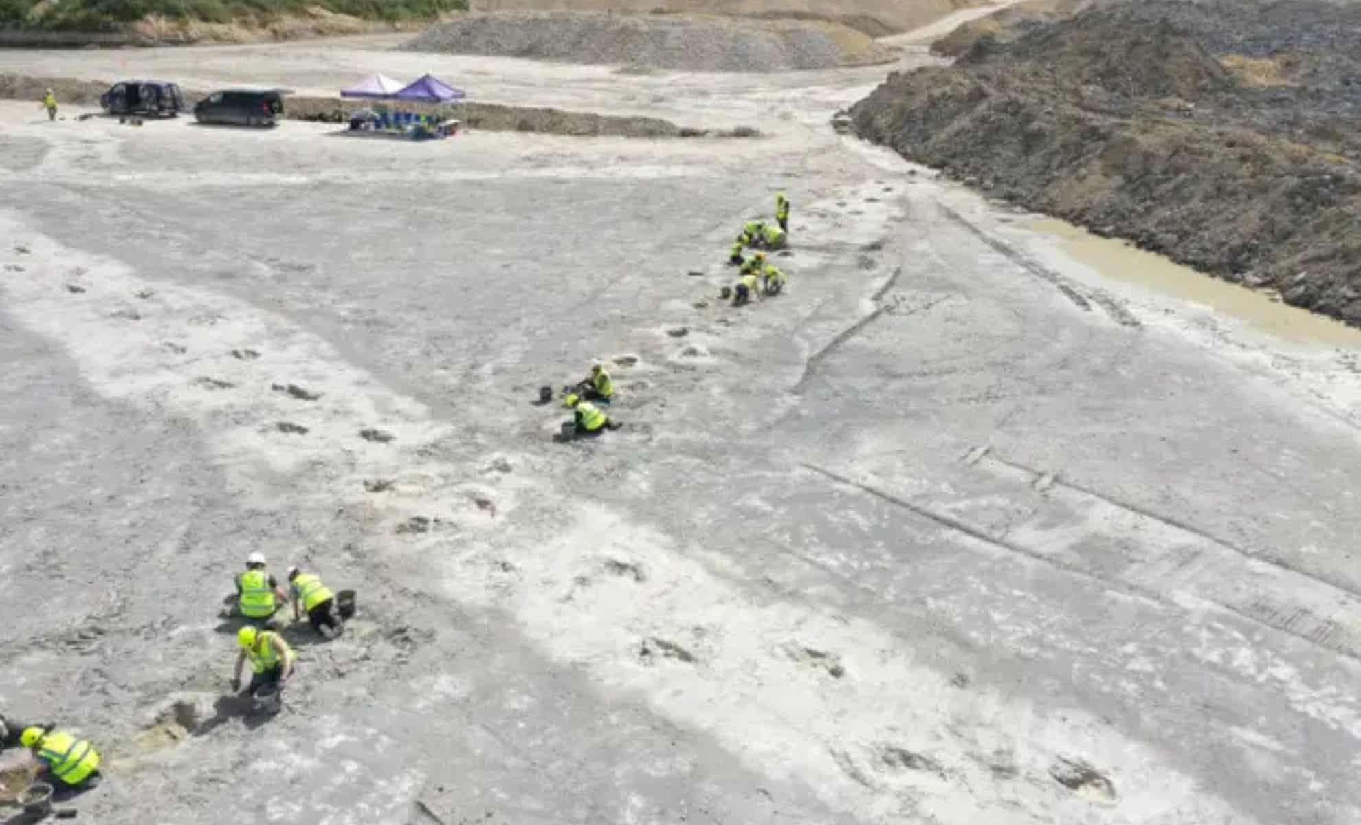 UK Uncovers Largest Dinosaur Footprint Trackway from 166 Million Years Ago 