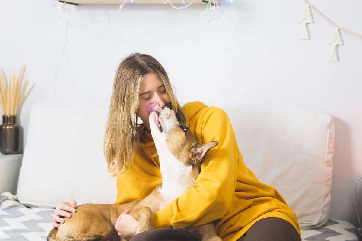 Could Your Dog’s Licks Pose a Health Threat? What Every Pet Parent Needs to Know 