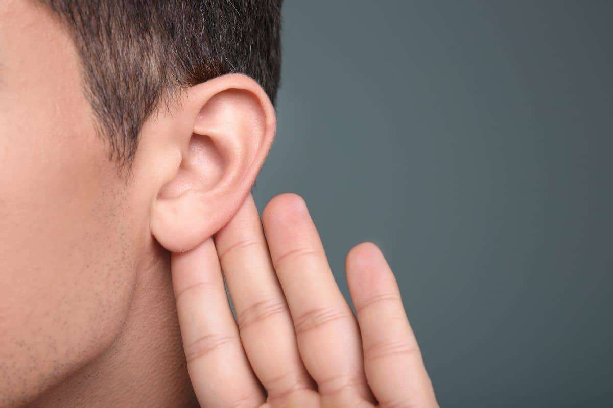 Scientists Uncover Why Our Brains Still Try to Move Our Ears 