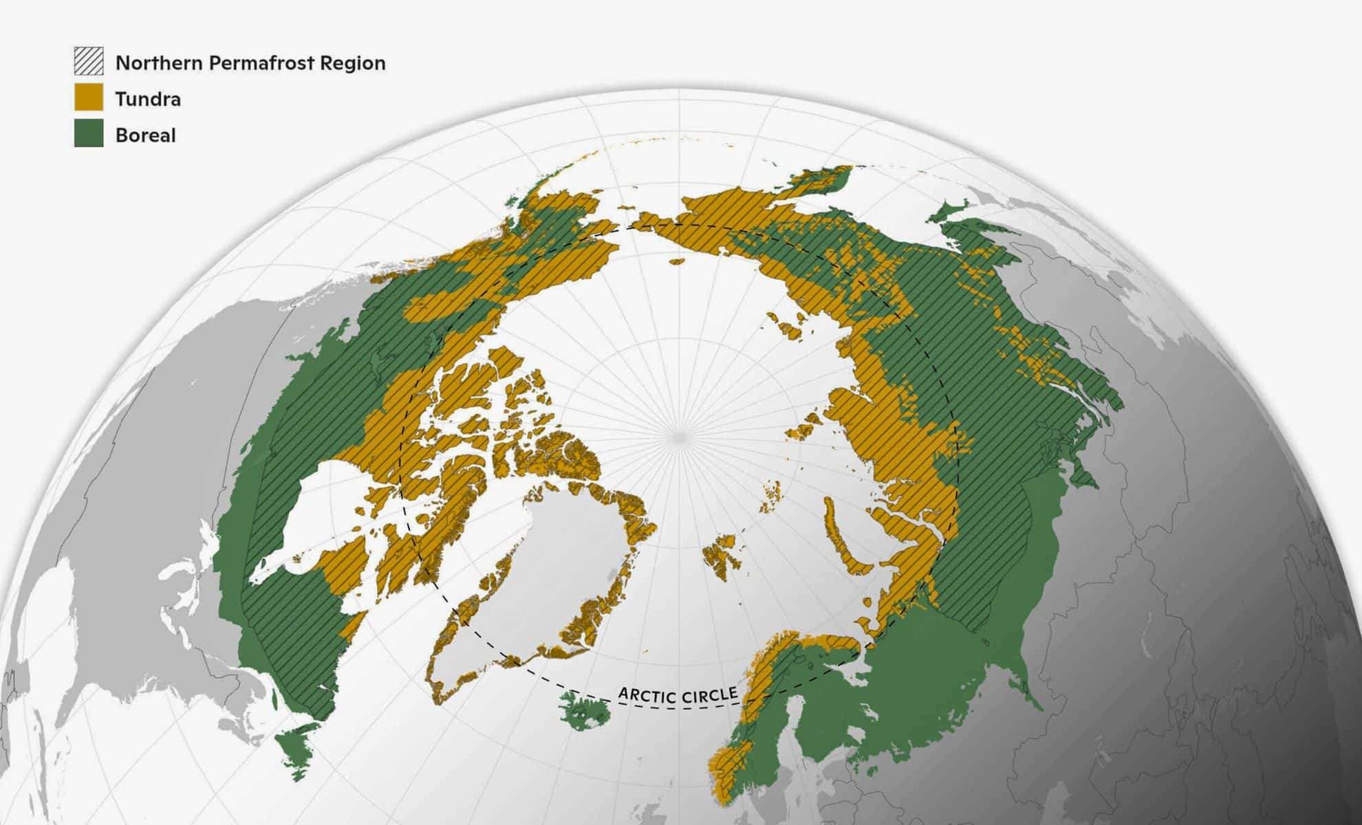 Map-of-Arctic-boreal-zone-study-area-depicting-boreal-forests-90d55e105248c1ebb06bc719d6a60d52.jpg