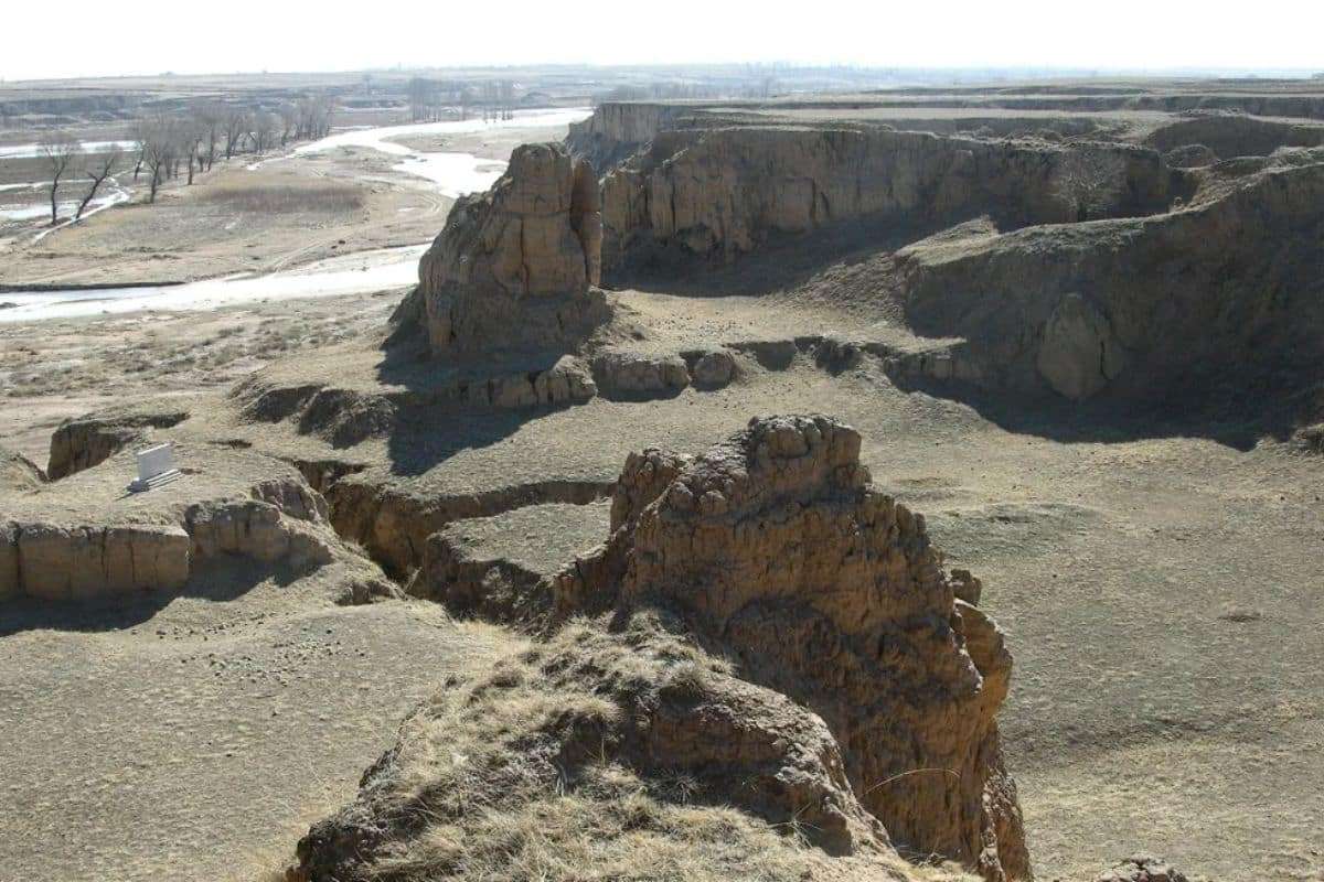 Ancient Fossils with Massive Brains Unearthed in China—A Potential Link to Our Ancestry? 
