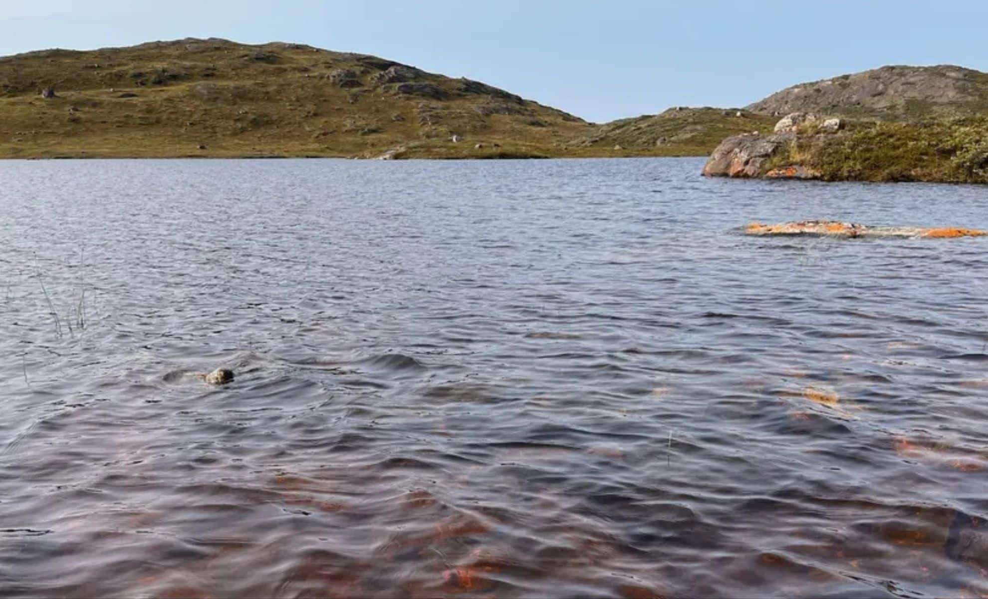 Greenland’s Lakes Shift from Vibrant Blue to Murky Brown, Releasing High Levels of CO₂ 