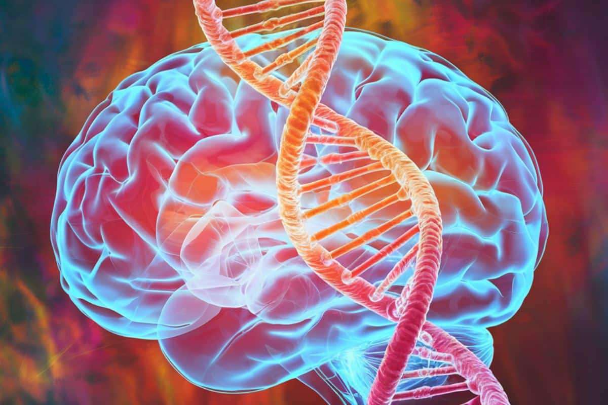 Scientists Uncover 293 New Genetic Variants Linked to Depression 