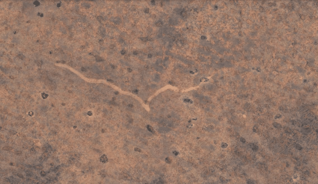 Uncovering a Rare Tornado Scar in Australia's Nullarbor Plain via Satellite Imagery 