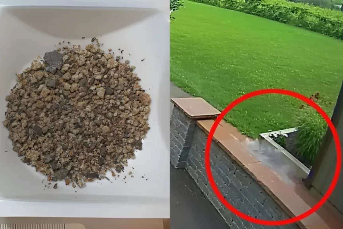 Man Escapes Close Meteorite Impact: ‘It Could Have Torn Me Apart!’ 