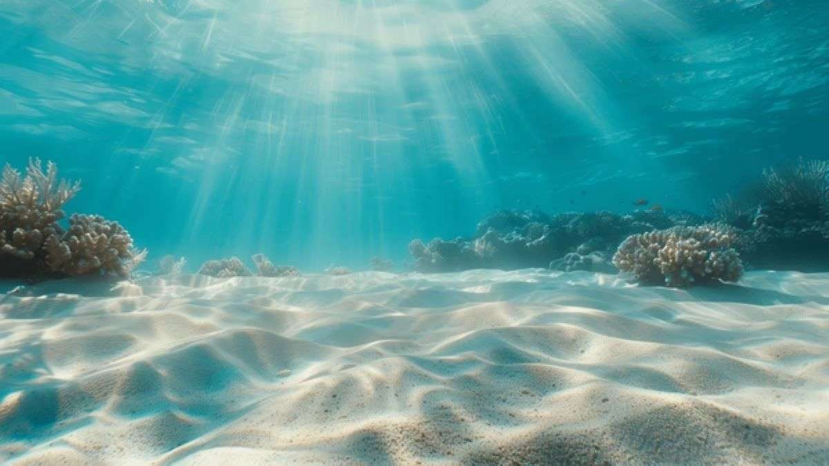 Uncovering Ocean Secrets: How Marine Sediments Lock Away Carbon to Combat Climate Change 