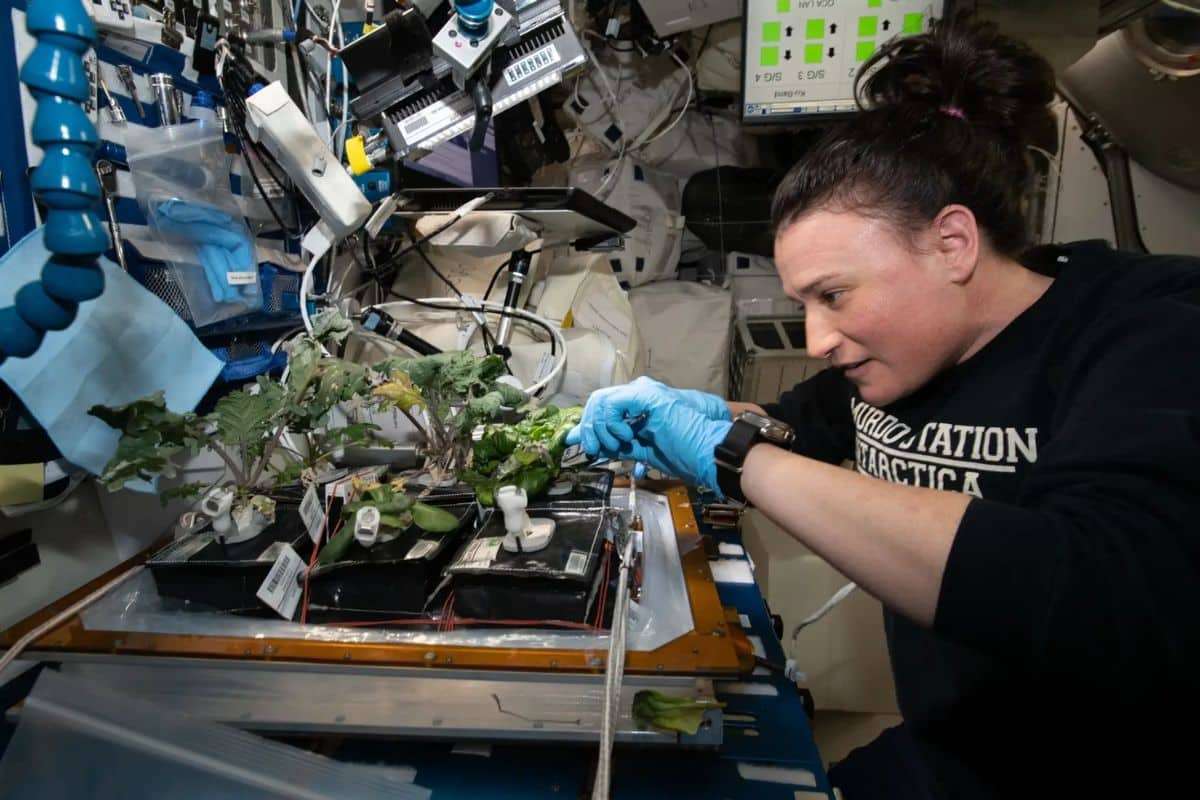 Cultivating Life on Mars: NASA’s Vision for Space Farming 
