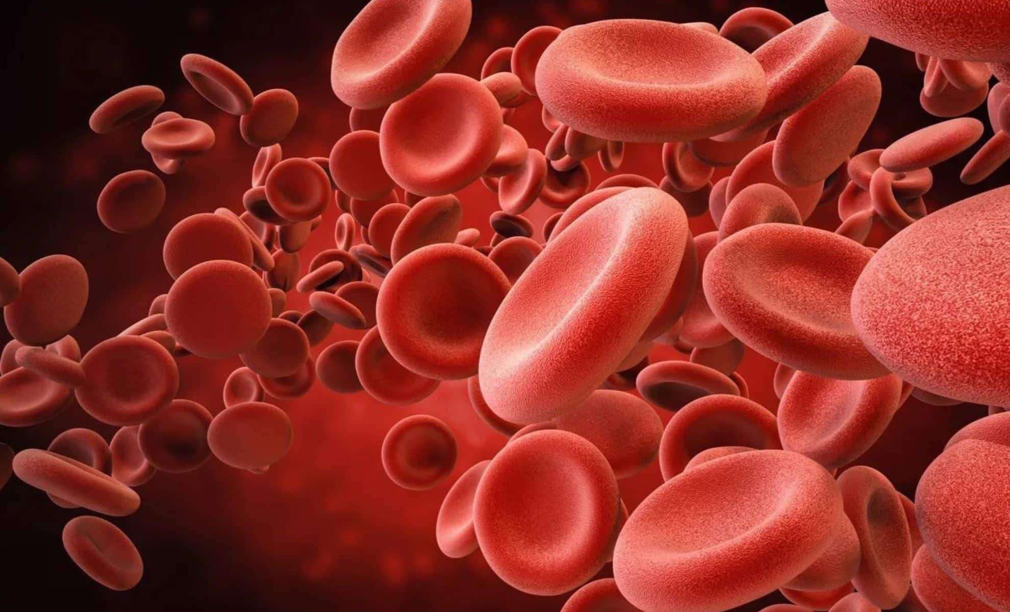 New Human Blood Group MAL Identified, Solving a 50-Year Medical Enigma 