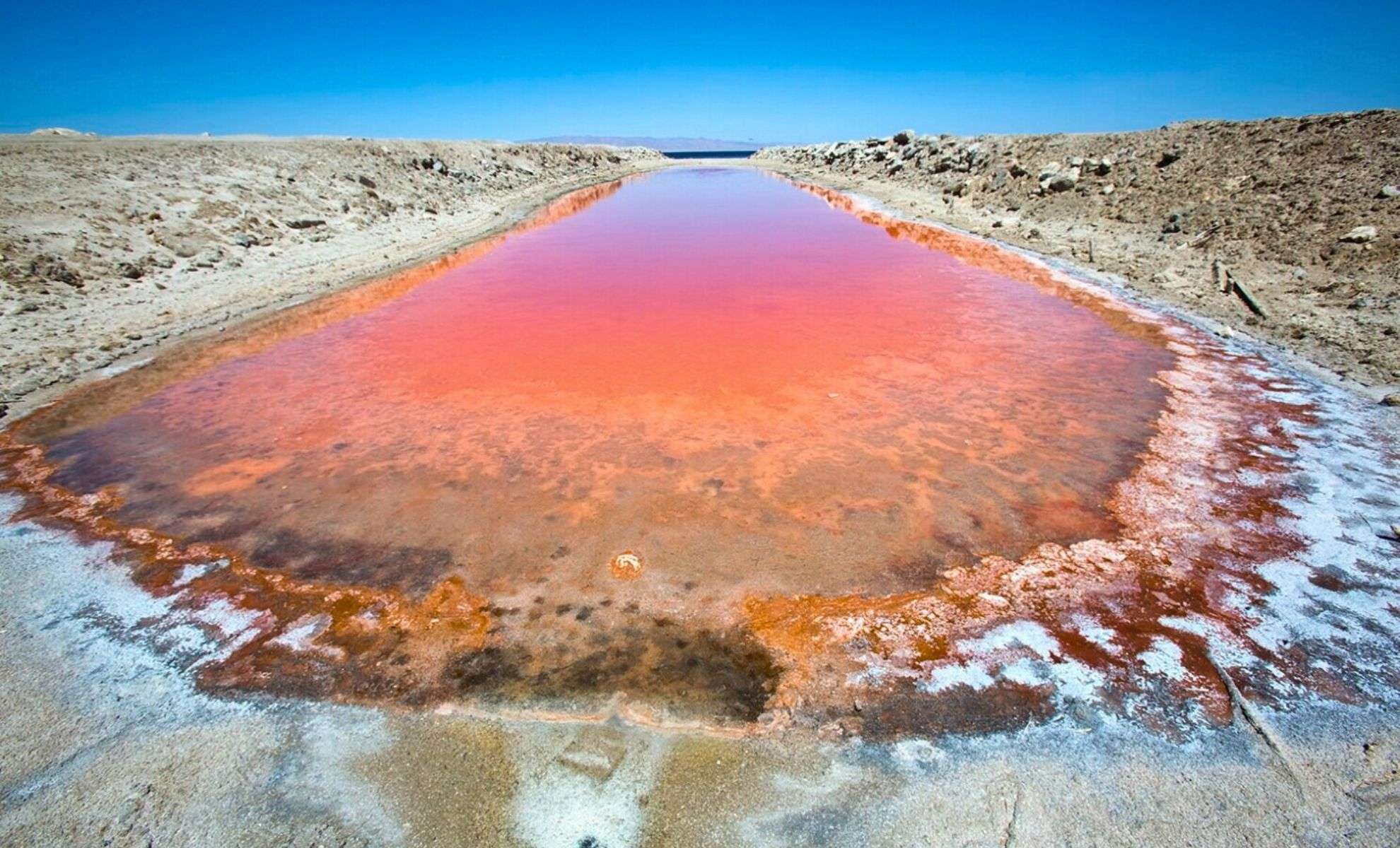 California’s Salton Sea Conceals $540 Billion Lithium Treasure Fueling Clean Energy Dreams 