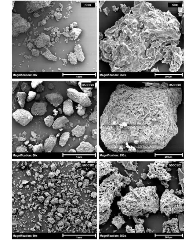 Scanning-electron-microscope-images-of-the-surface-structures-on-the-pyrolyzed-coffee-grinds-13f83e2a6f030ffac536dadb6b2d28f8.jpg