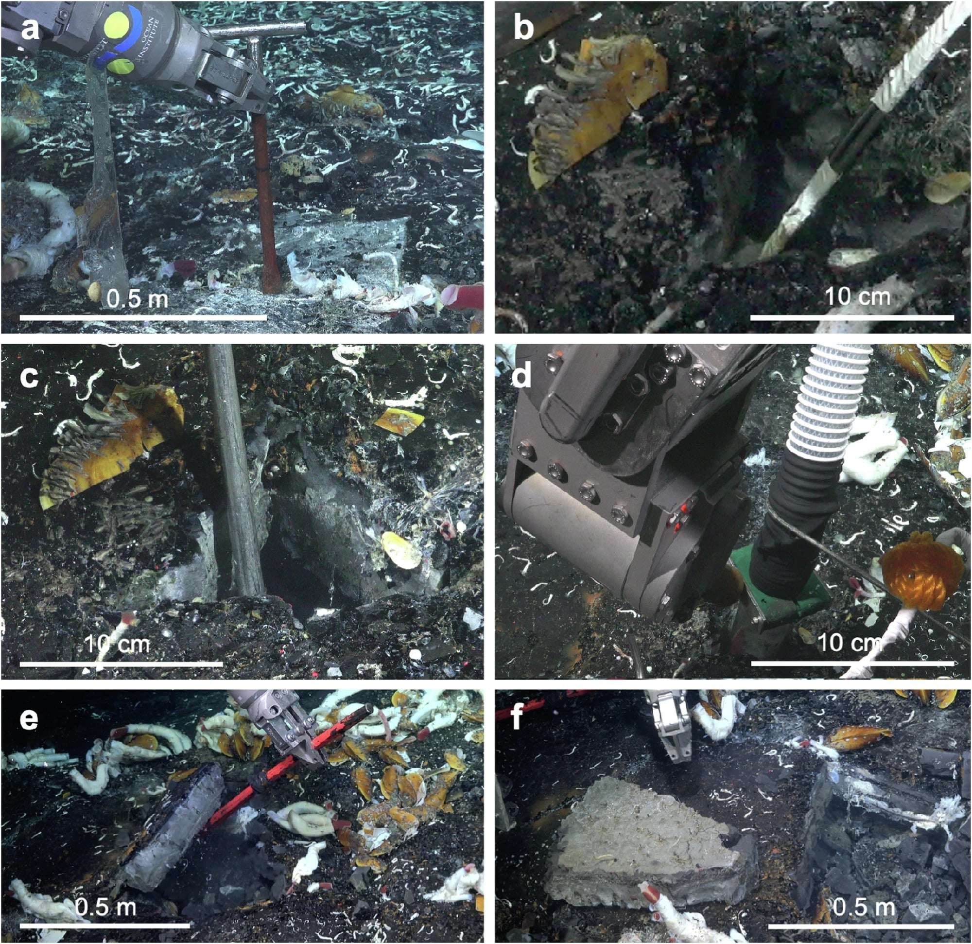 Sampling-and-excavation-scheme-to-open-crustal-subseafloor-cavity-58ae9e0c231c2dd44a5627cf0001656d.jpg