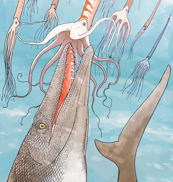 An-artists-impression-of-a-mosasaur-0dffa13b001891c9102cf2315cb087de.jpg