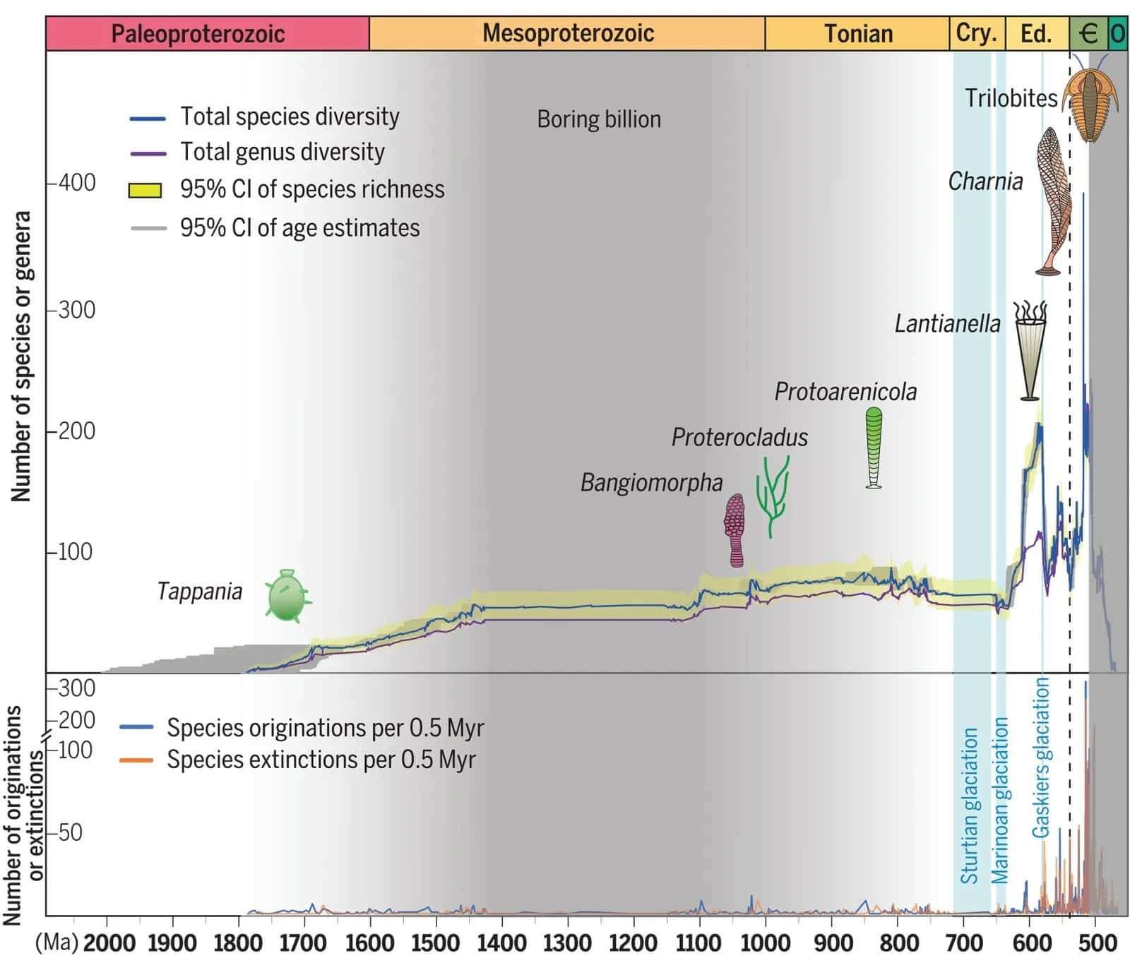 science.adm9137-fa-dca45b4c1202c8f2a112435677245cb3.jpg