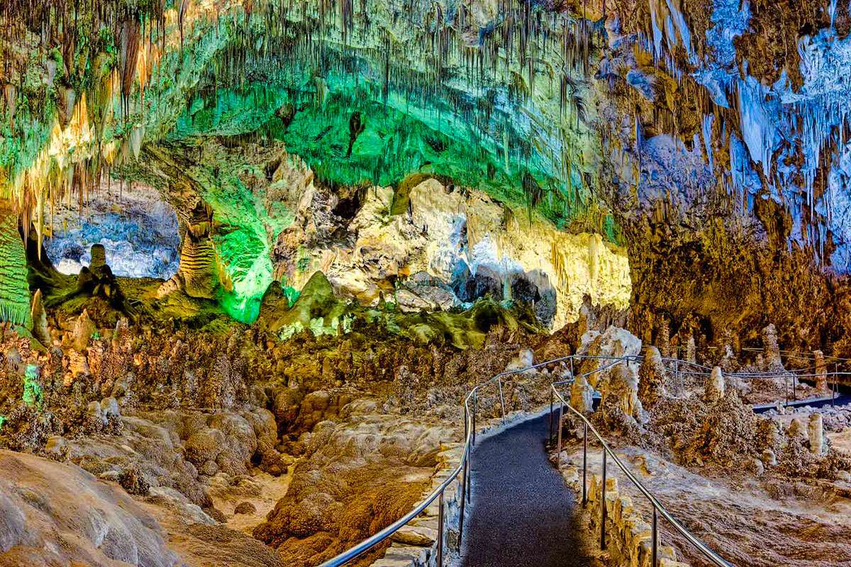 How One Bag of Snack Food Disrupted a National Park's Underground Ecosystem 
