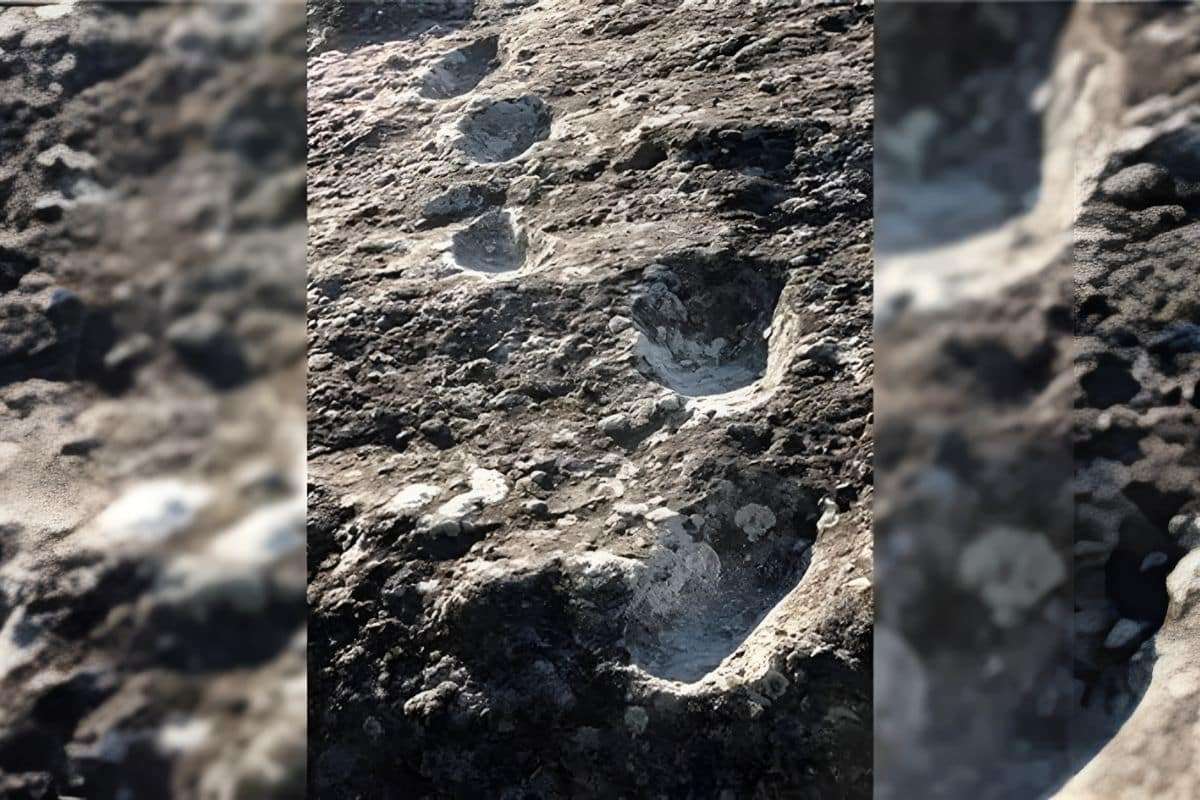 Walking on Fire: Who Were the Humans That Crossed Lava 350,000 Years Ago? 