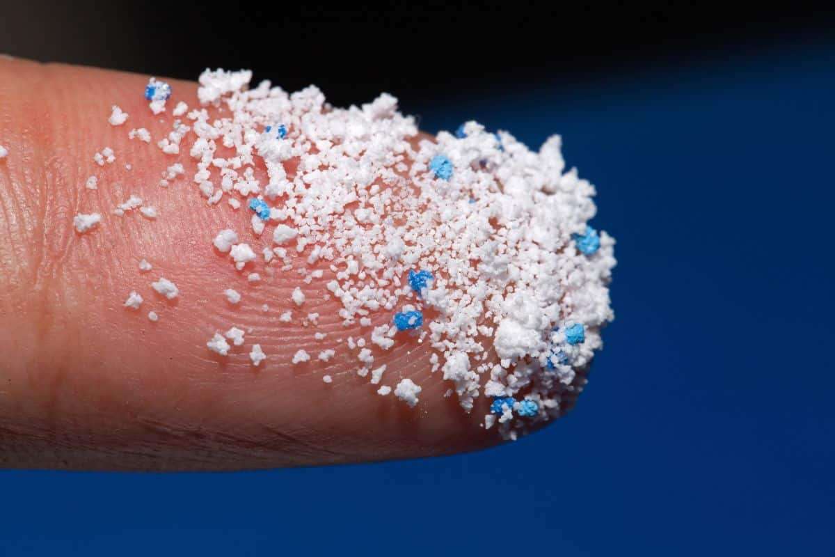 Invisible Threats: How Microplastics Could Be Impacting Your Health 