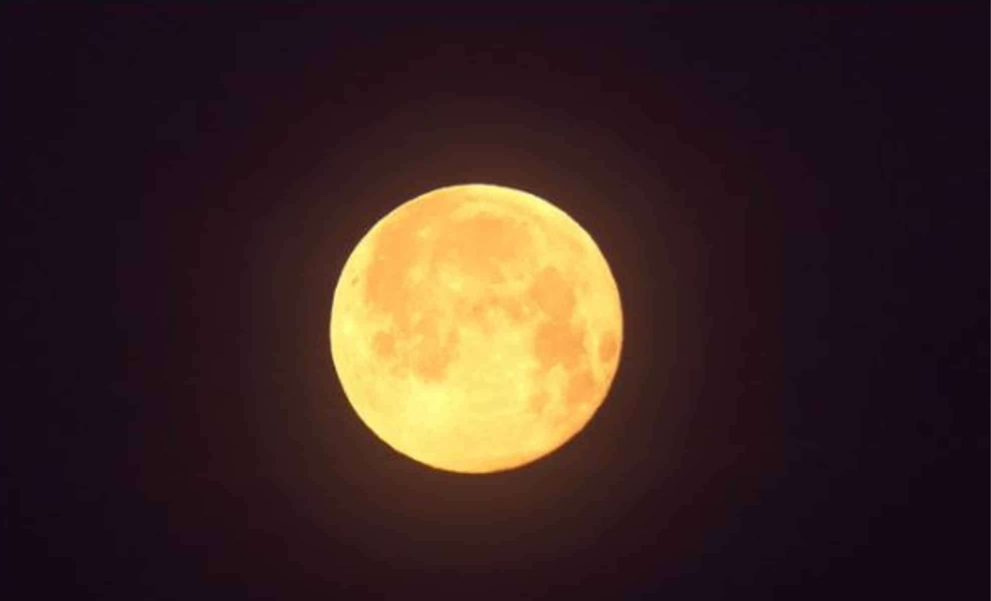 January 2025’s Wolf Moon: When and How to Catch the Year’s First Full Moon 