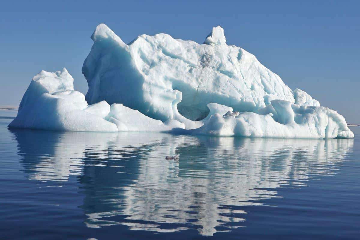 Massive Antarctic Iceberg Nears South Georgia, Threatening Local Wildlife Habitats 