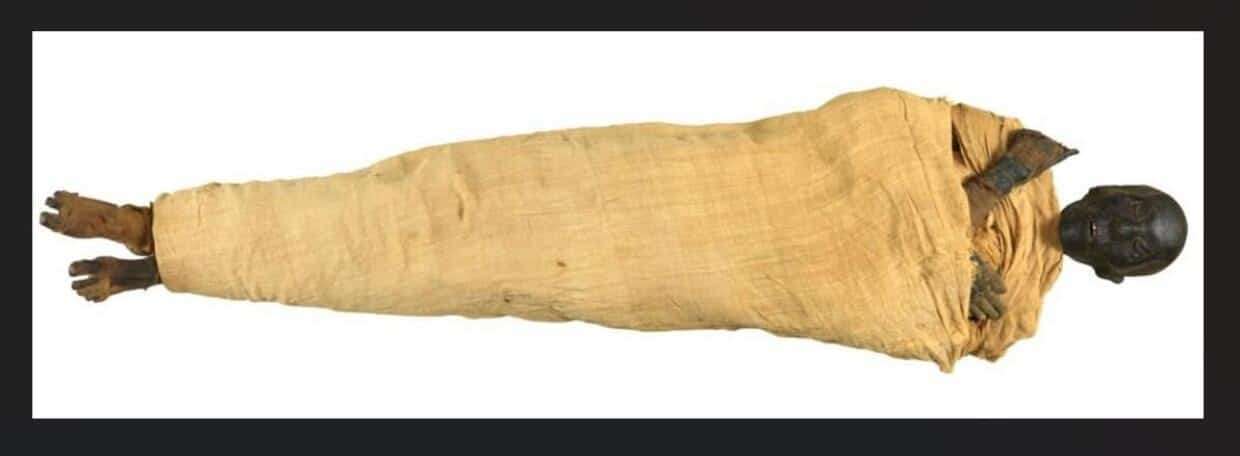 The-mummy-of-King-Thutmose-II-78d44c7c3e1268a6a9186e35489c7f2b.jpeg