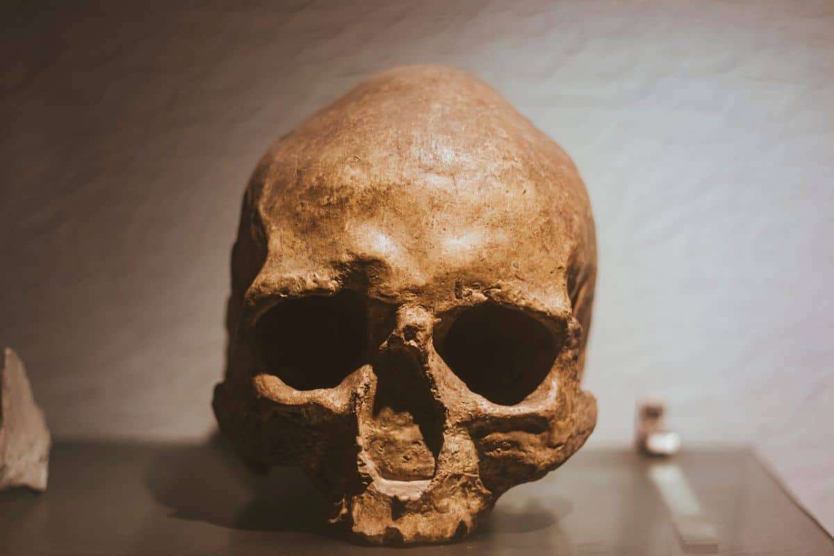 Ancient DNA Sheds Light on the Enigmatic Origins of the Huns Behind Rome’s Collapse 