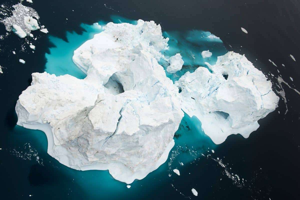 How Ancient Ice Ages May Have Sparked the Rise of Complex Life 