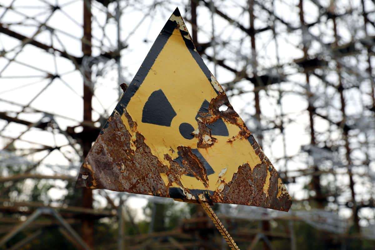 Radiation-Consuming Black Fungus at Chernobyl Offers New Hope for Science 