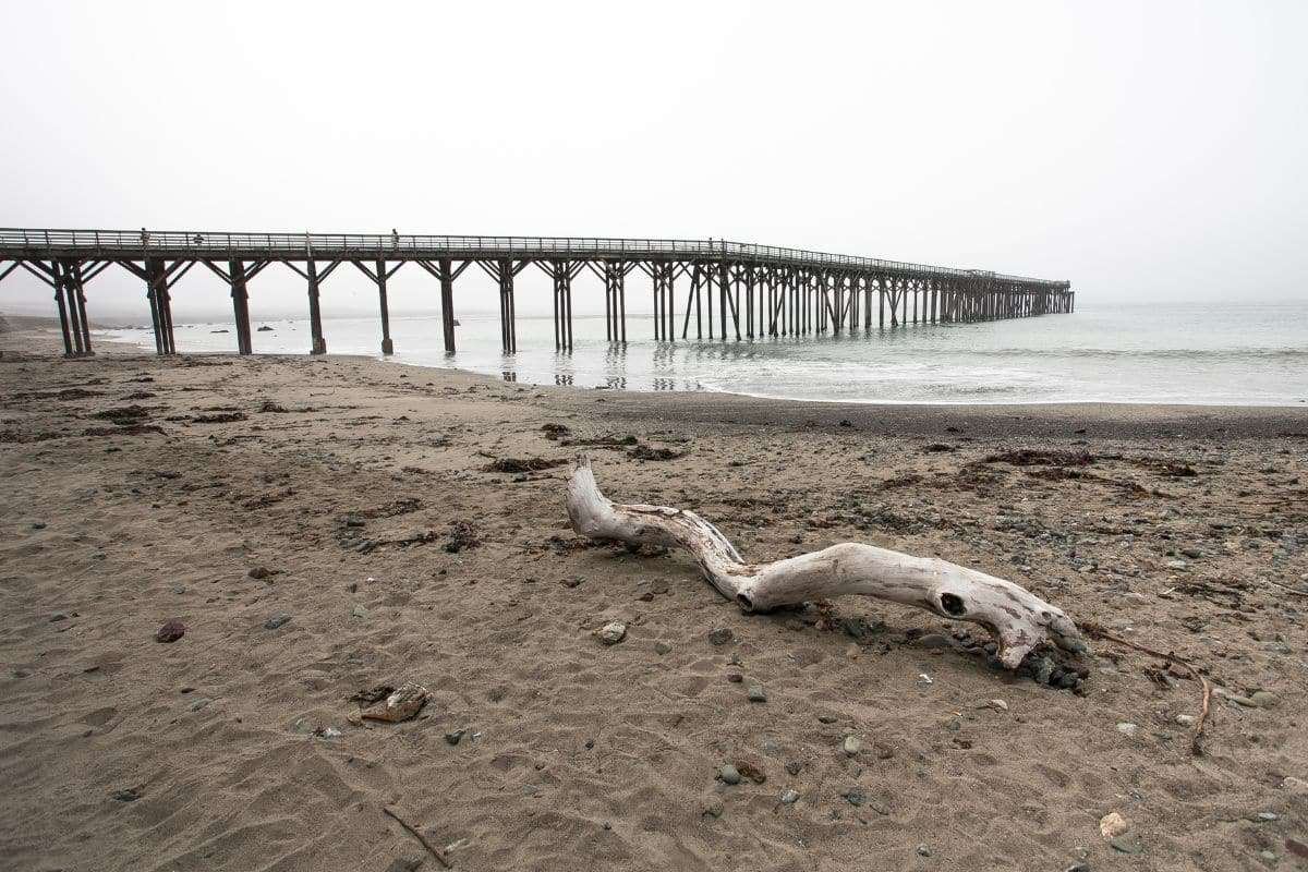 Rethinking Sea Level Rise Risks for California’s Shoreline Cities 