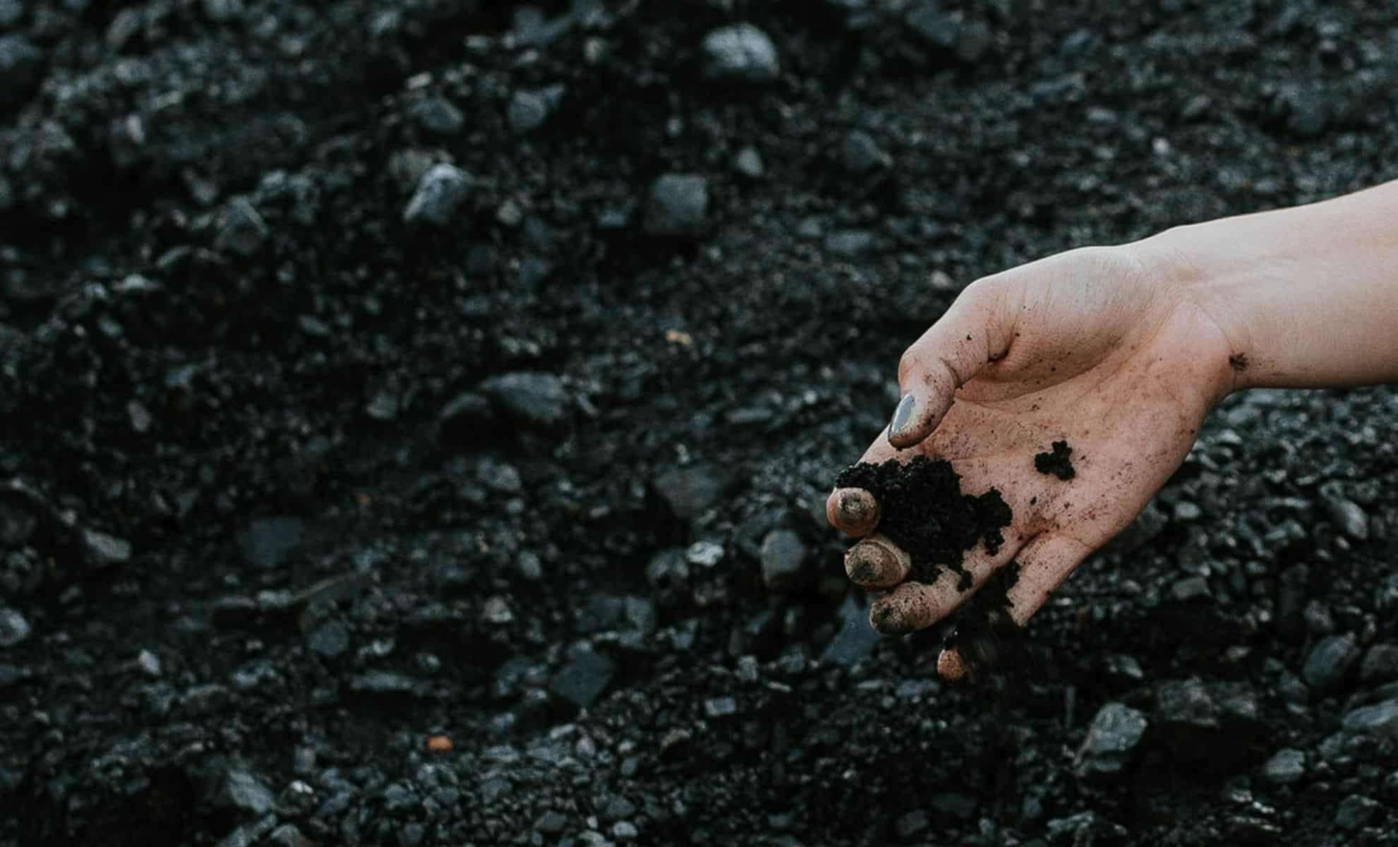 New Carbon Storage Technique in Construction Could Revolutionize Climate Action 