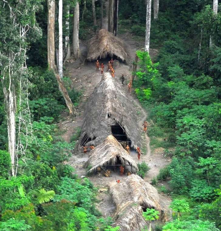 uncontacted-brazil-eef9b05fc81002db019343ec5e7d818c.jpeg