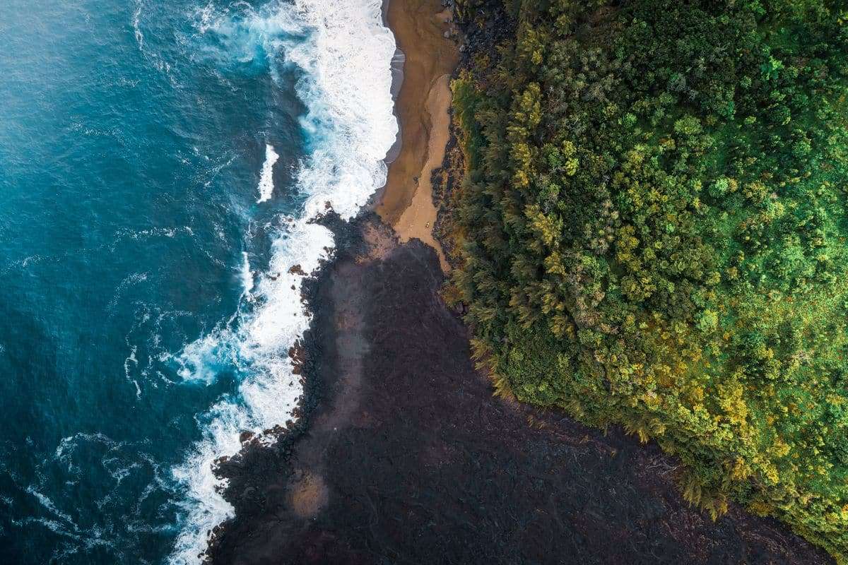 The Return of Green Oceans: Ancient Hues Resurface Amid Modern Change 