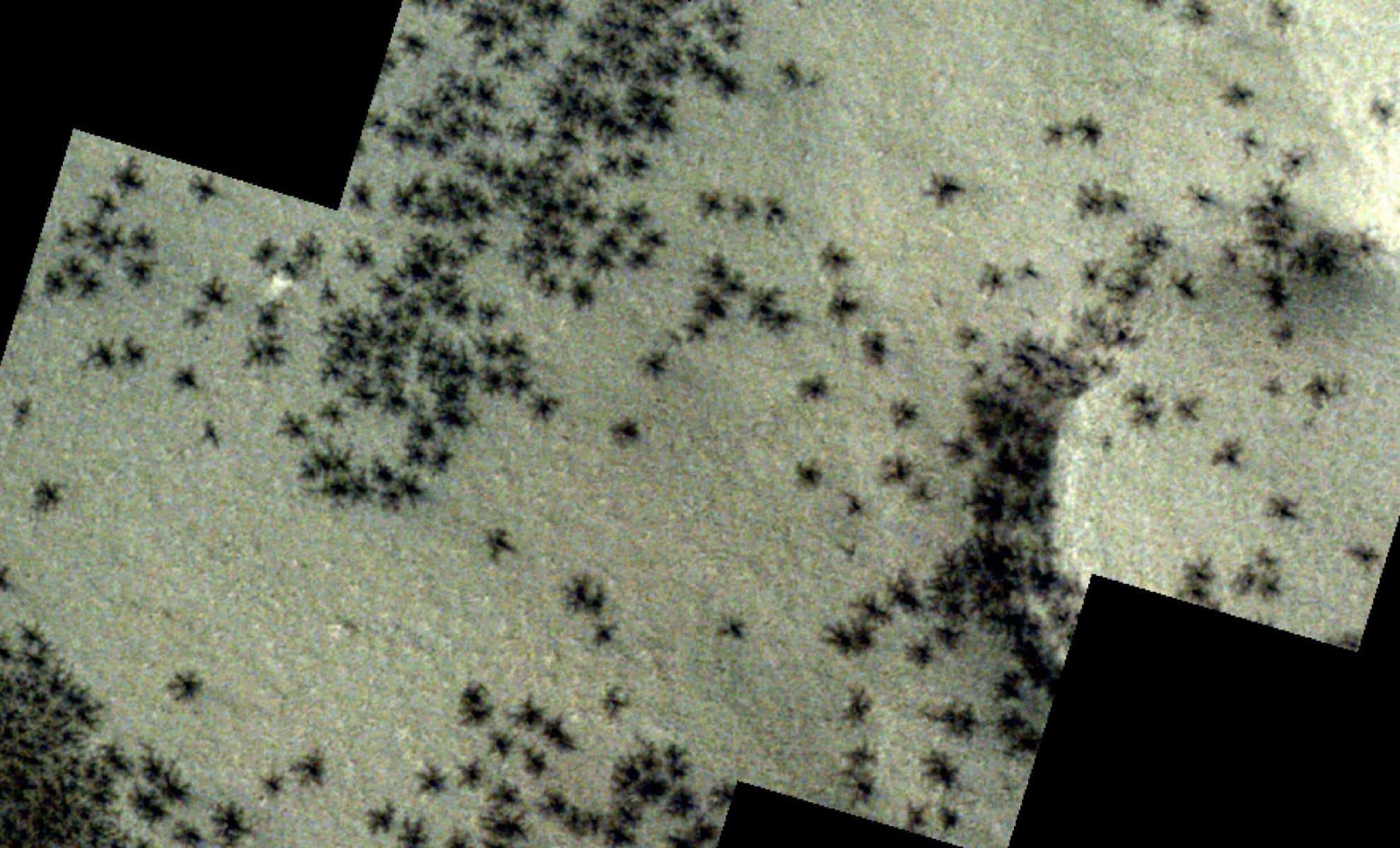 ESA Reveals Stunning Images of Thousands of ‘Black Spider’ Patterns on Martian Surface 