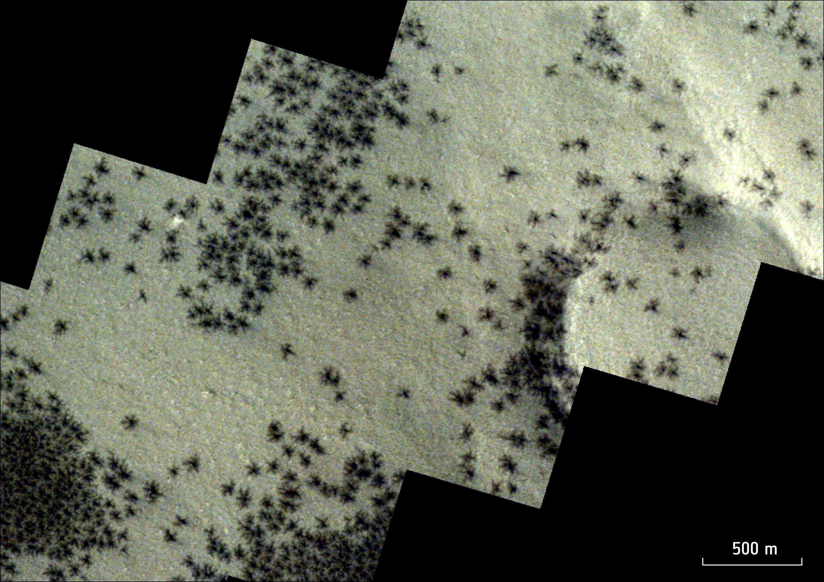 This-image-shows-features-known-as-spiders-near-Marss-south-pole-8070abfb4d75170471d47fe52da491c1.jpeg