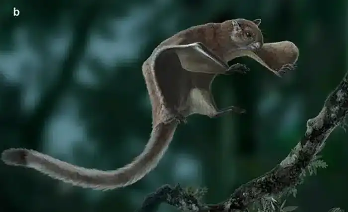 flying-squirrel-pulled-ancient-sinkhole-2c4ff10aeacff87116db70193bf0b99b.webp