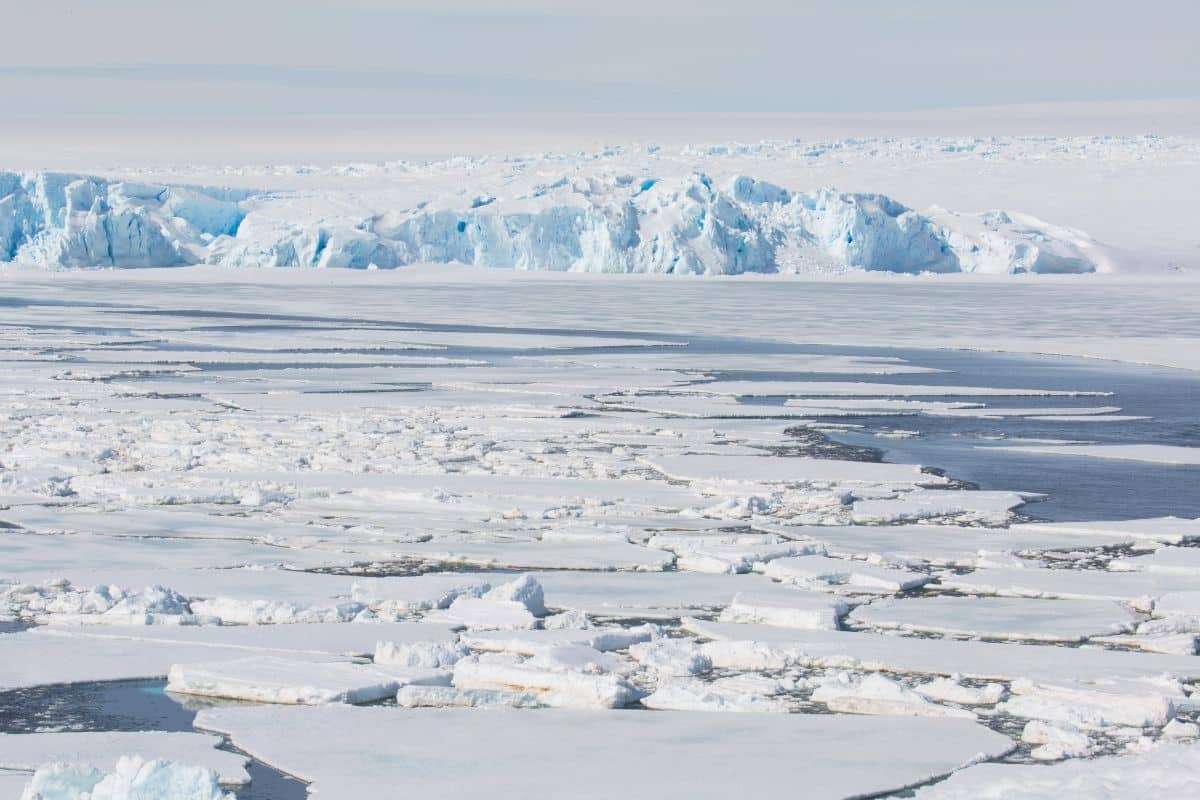 Adapting Beyond Ice: Can Humans Thrive on a Warmer Earth? 