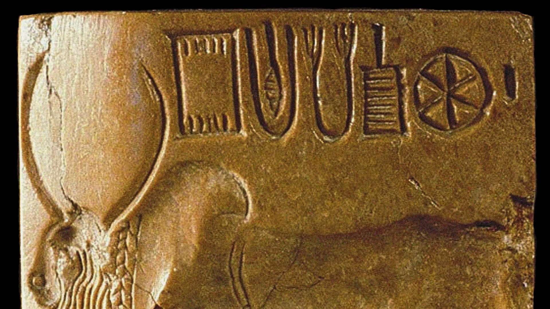 India Offers $1 Million to Unlock the Secrets of the Ancient Indus Script 