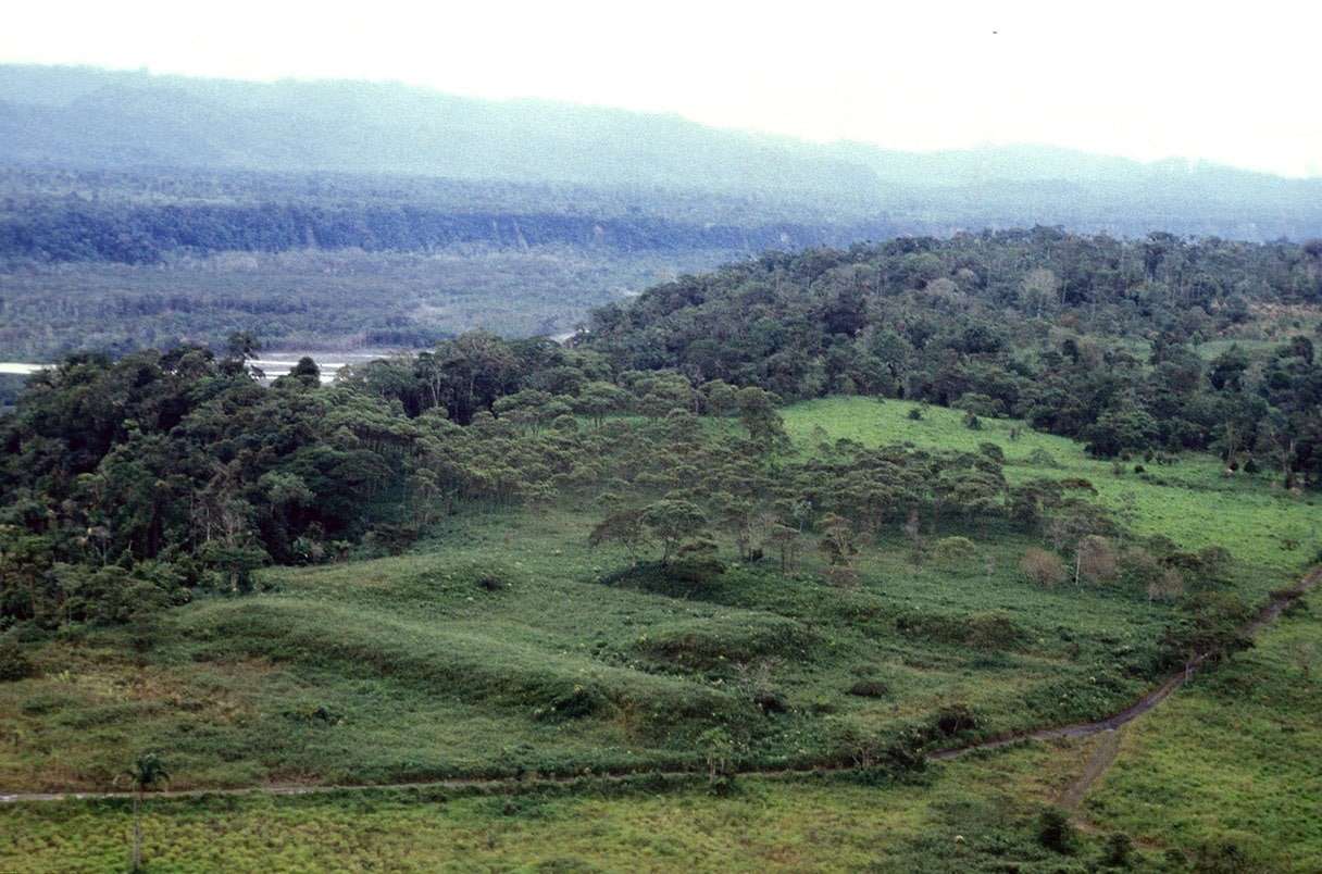 laser-mapping-uncovers-a-2500-year-old-lost-amazonian-cities-older-than-the-roman-empire-503fb0e61a78f0319307fded260e91ba.jpeg