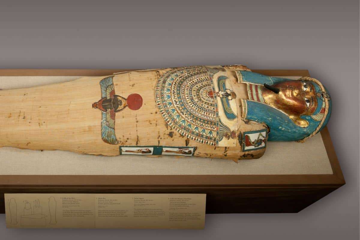Ancient Egyptian Mummies Reveal Surprising Aromas After Millennia 