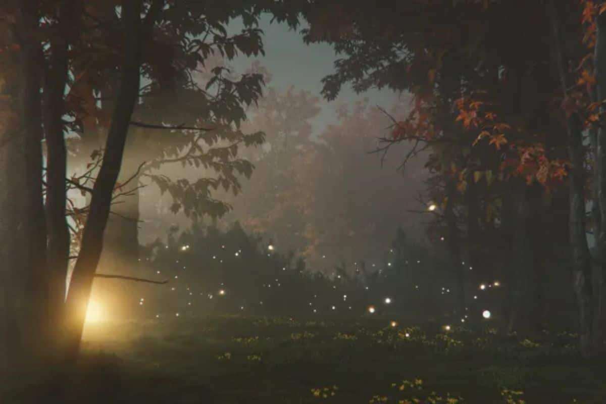Unveiling the Truth Behind Summerville's Enigmatic Lights: Natural Phenomenon Explained 