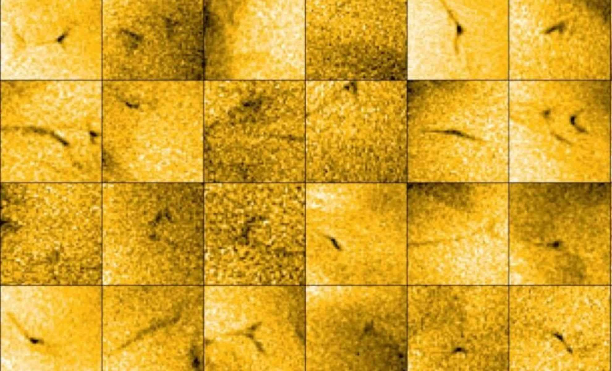 Groundbreaking Solar Orbiter Footage Reveals Micro Jets Near Sun’s South Pole 