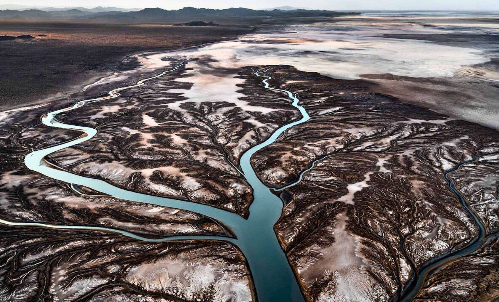 Reviving the Colorado River Delta: Hope and Challenges Ahead 