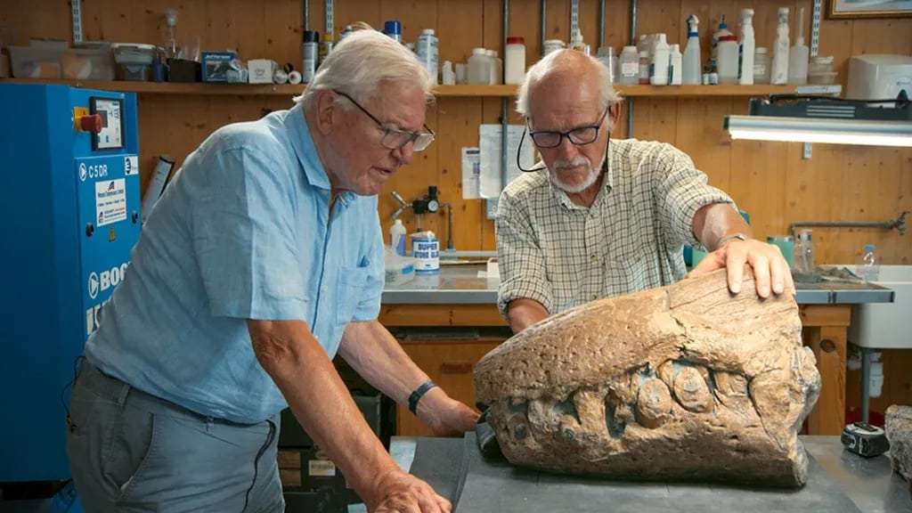 Steve-Etches-shows-Sir-David-Attenborough-the-snout-the-first-piece-to-be-found-80076d993af542df9c420e519b630c6c.jpeg